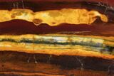 Polished Desert Sunset Banded Iron - Western Australia #96239-1